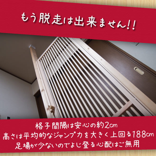 格子感覚は安心の２cm。高さは平均的なジャンプ力を大きく上回る１８８cm